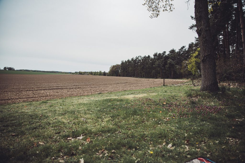 Blick vom Stellplatz bei Krügers Hof über eine Wiese auf einen großen Kartoffelacker und einen Wald.
