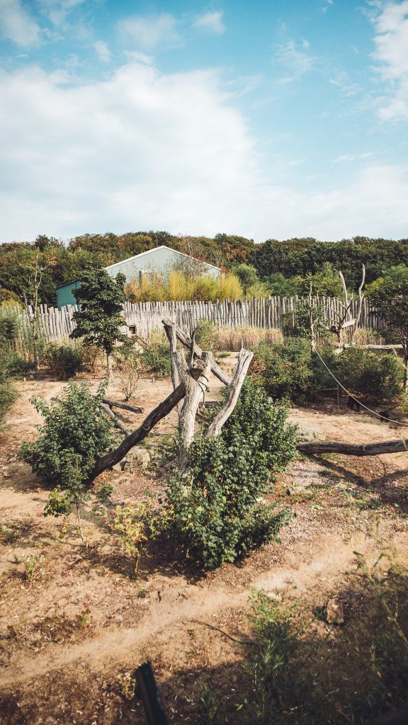 Blick von oben über eine weitläufige und dicht bewachsene Tieranlage in Takamanda im Zoo Osnabrück