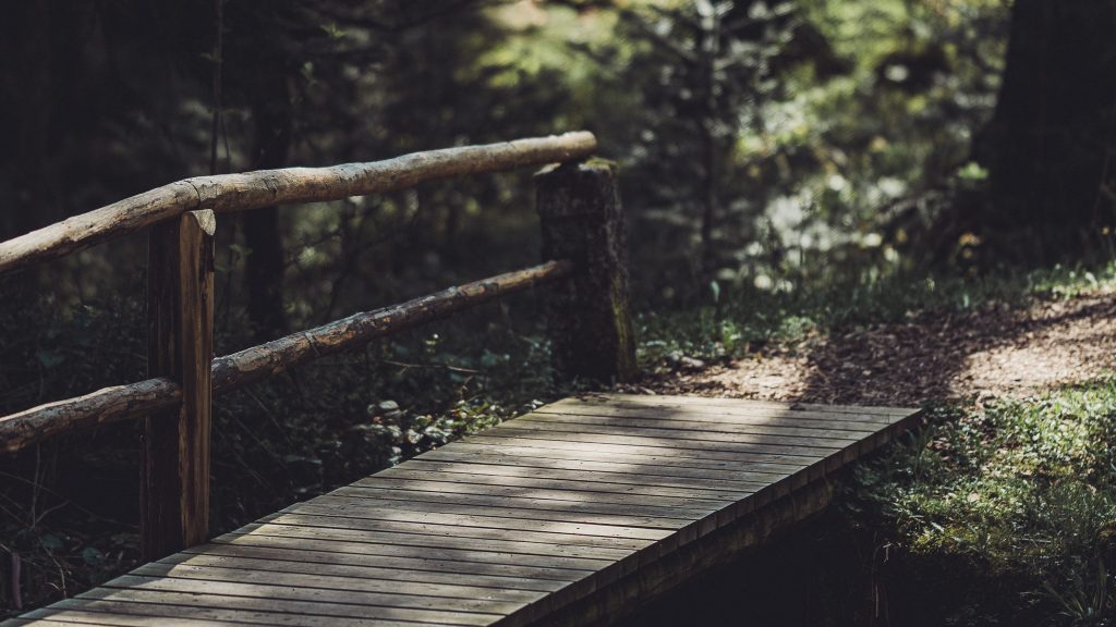 Kleine Holzbrücke mit rustikalem Geländer im Wald bei Freudenstadt