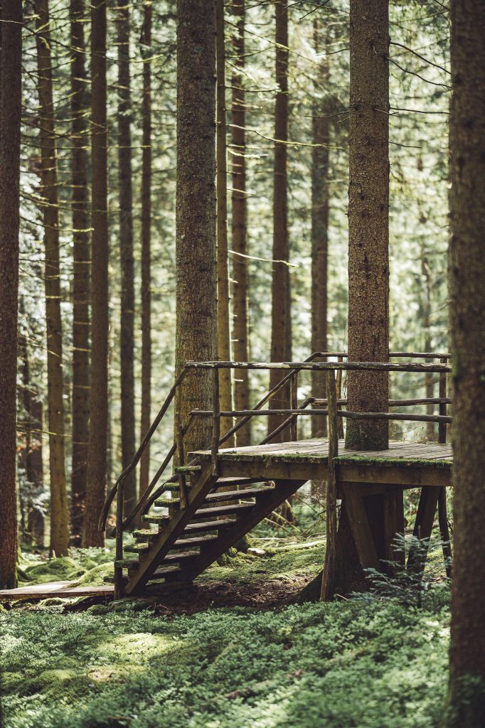 Erhöhte Holzplattform mit Treppe um einen Baum bei Freudenstadt