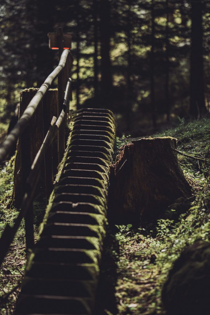 Schmale moosige Holztreppe mit Geländer im Wald bei Freudenstadt