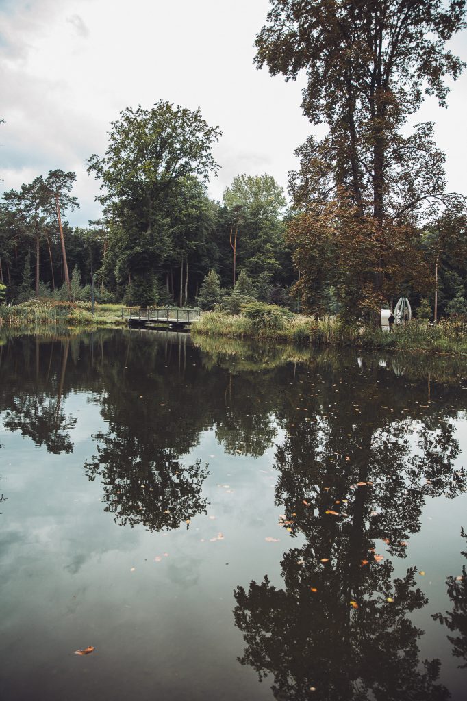 Stiller Parkteich mit kleiner Brücke und Baumspiegelungen in der Gartenschau Bad Lippspringe