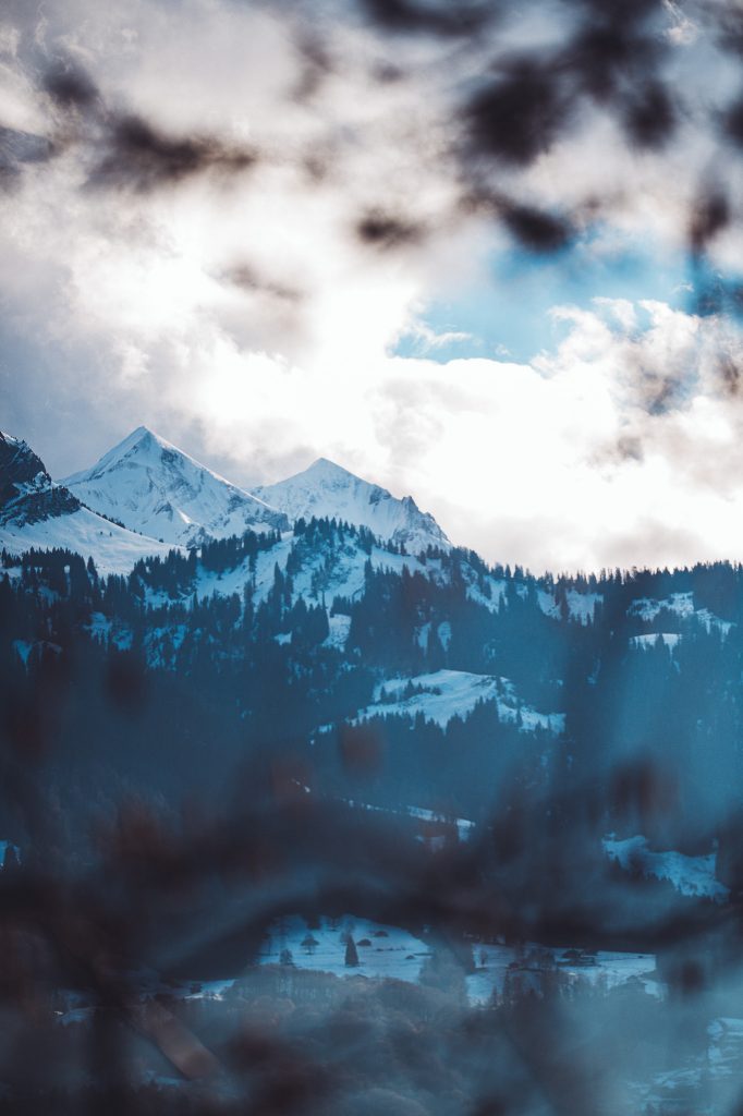 Schneebedeckte Berggipfel und bewaldete Hänge unter Wolken, eingerahmt von unscharfen Zweigen im Vordergrund.