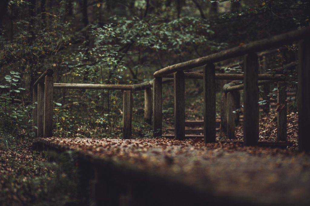 Kleine Holzbrücke mit Geländern und Laub im Wald der Stukenbrocker Senne